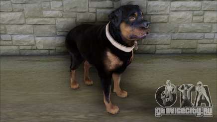 Rottweiler from GTA 5 для GTA San Andreas