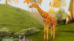 Giraffe (Mammal) для GTA San Andreas