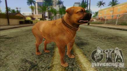Rottweiler from GTA 5 Skin 2 для GTA San Andreas