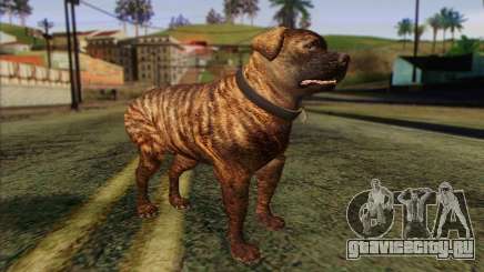 Rottweiler from GTA 5 Skin 1 для GTA San Andreas