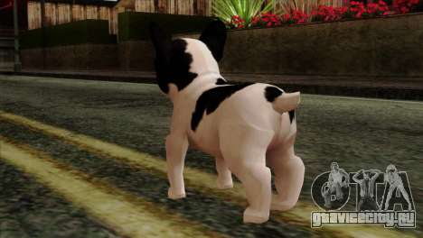 French Bulldog для GTA San Andreas