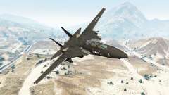 Grumman F-14D Super Tomcat [replace] для GTA 5