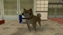 Следующую собаку (клео 4) для GTA San Andreas