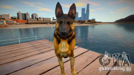 Riley the German shepherd dog from Call of Duty для GTA San Andreas