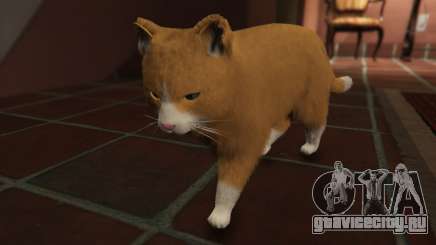 Mogie The House Cat для GTA 5