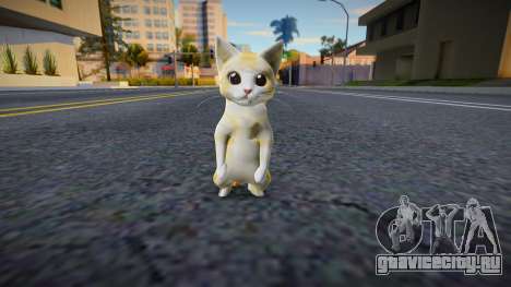 Miguel (cat) для GTA San Andreas