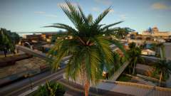 Palm Trees From Definitive Edition