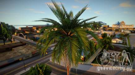 Palm Trees From Definitive Edition для GTA San Andreas