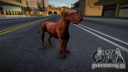 Пес из S.T.A.L.K.E.R. v5 для GTA San Andreas