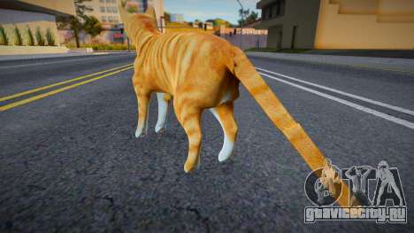 Рыжий кот для GTA San Andreas