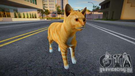 Рыжий кот для GTA San Andreas