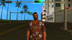 HD Sgoonb для GTA Vice City